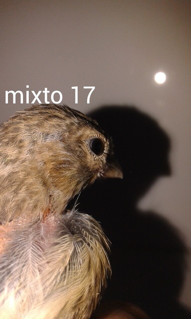 AddTextToPhoto(6-8-2015 7-43-44).jpg