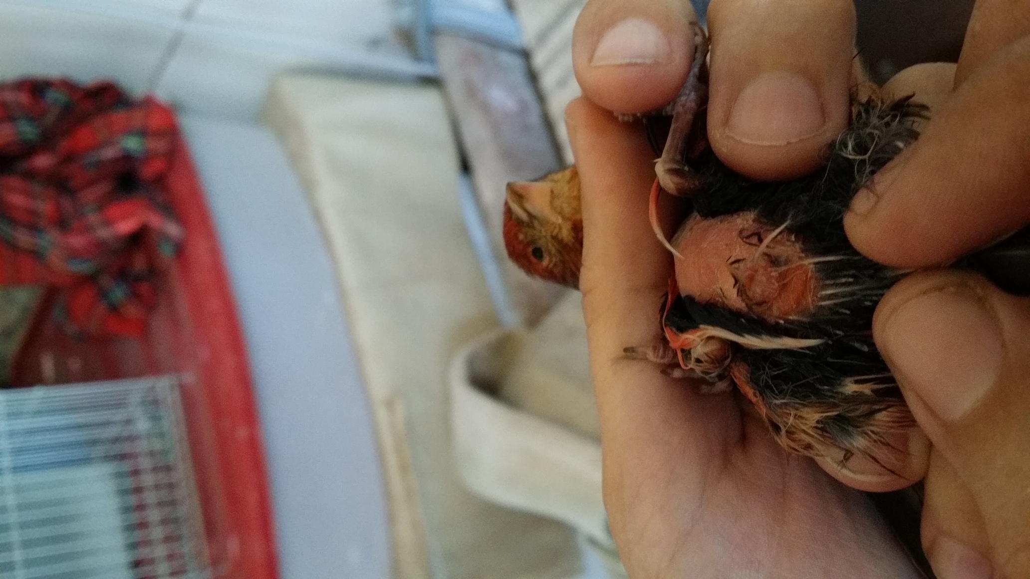 20150809_122221.jpg