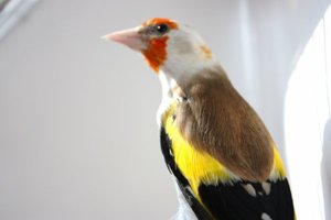 2903559113_small_1.jpg