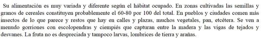 pajaricos.JPG