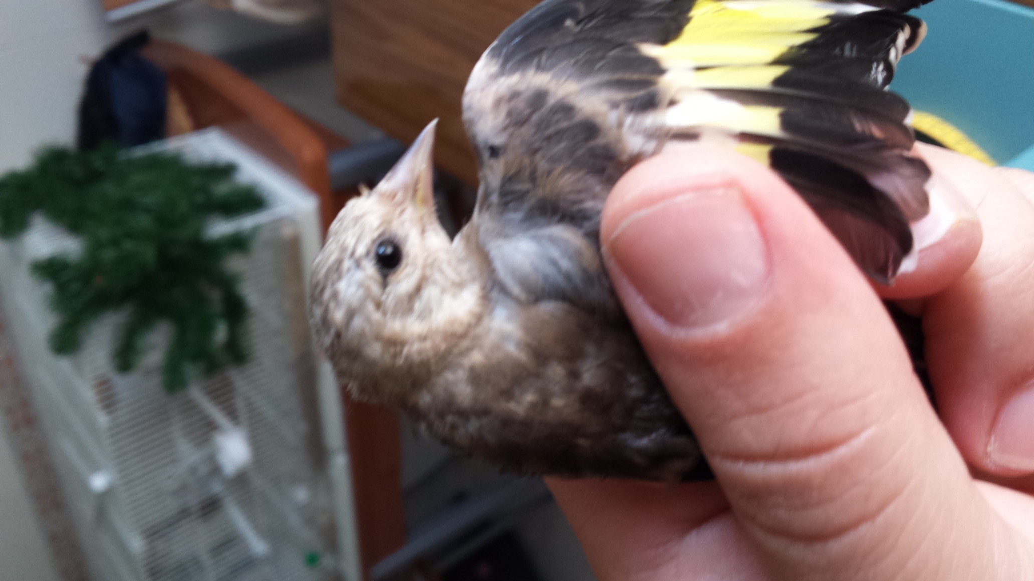 20150829_180722.jpg