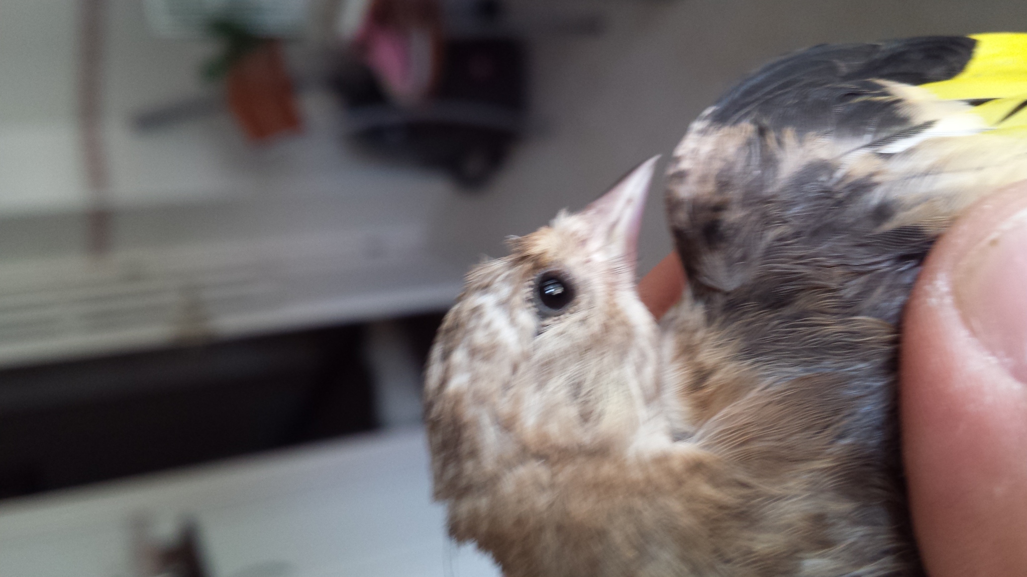 20150829_180922.jpg