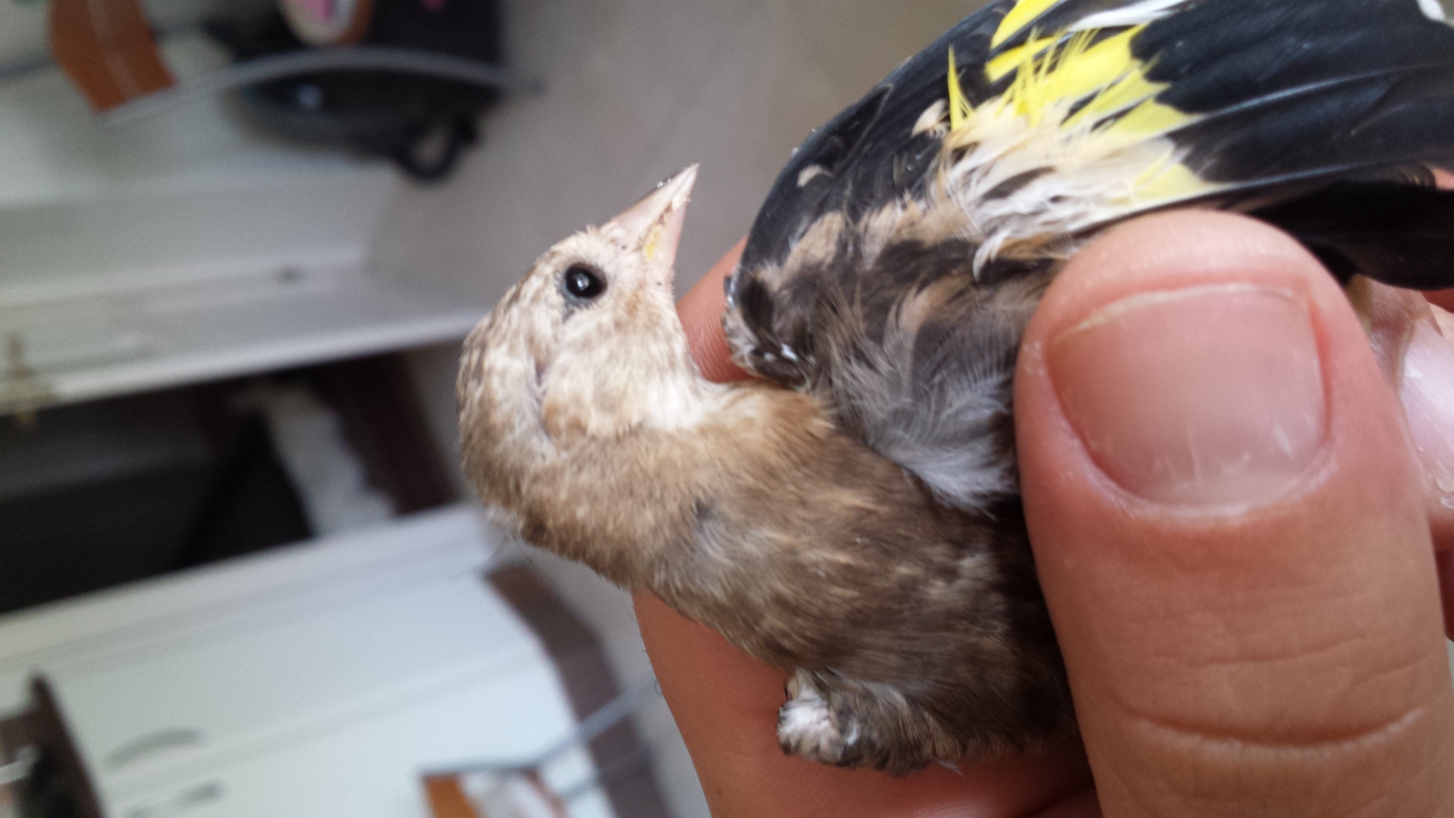 20150829_180538.jpg