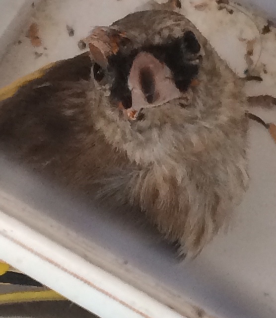 FullSizeRender (1).jpg