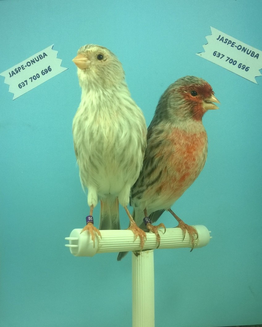 WP_20150817_176.jpg