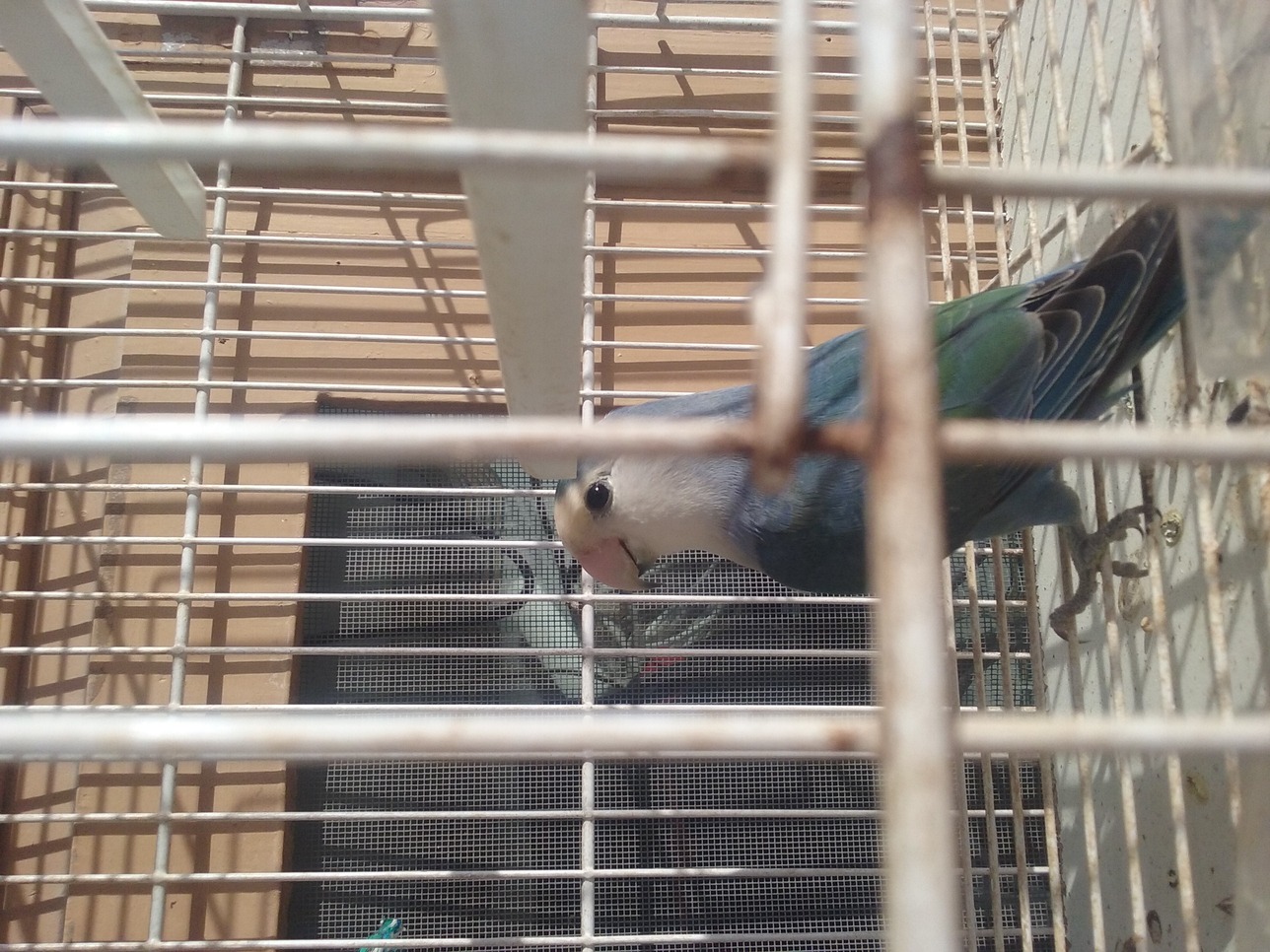 20150914_092721.jpg