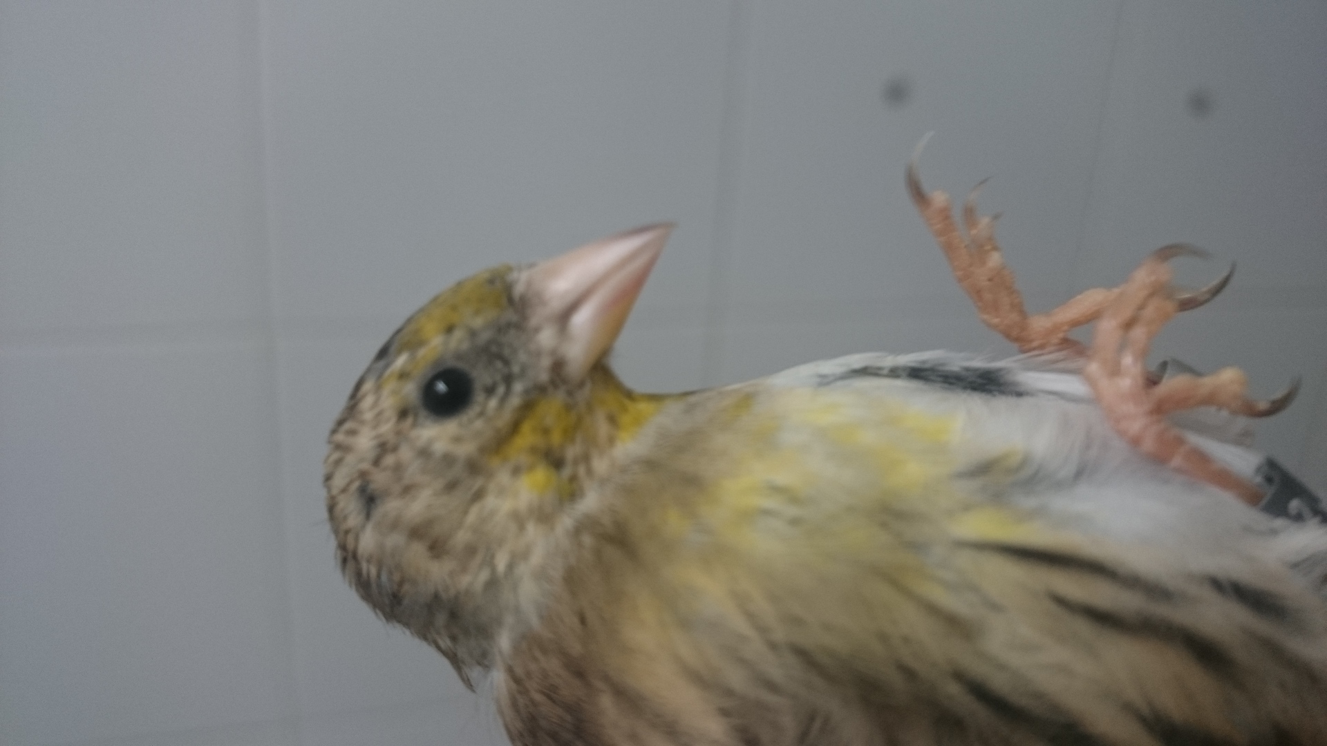 DSC_1299.JPG