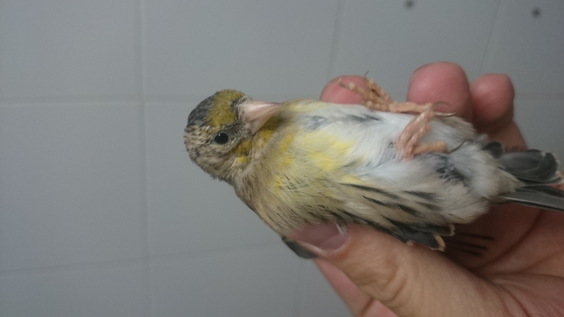 DSC_1298.JPG