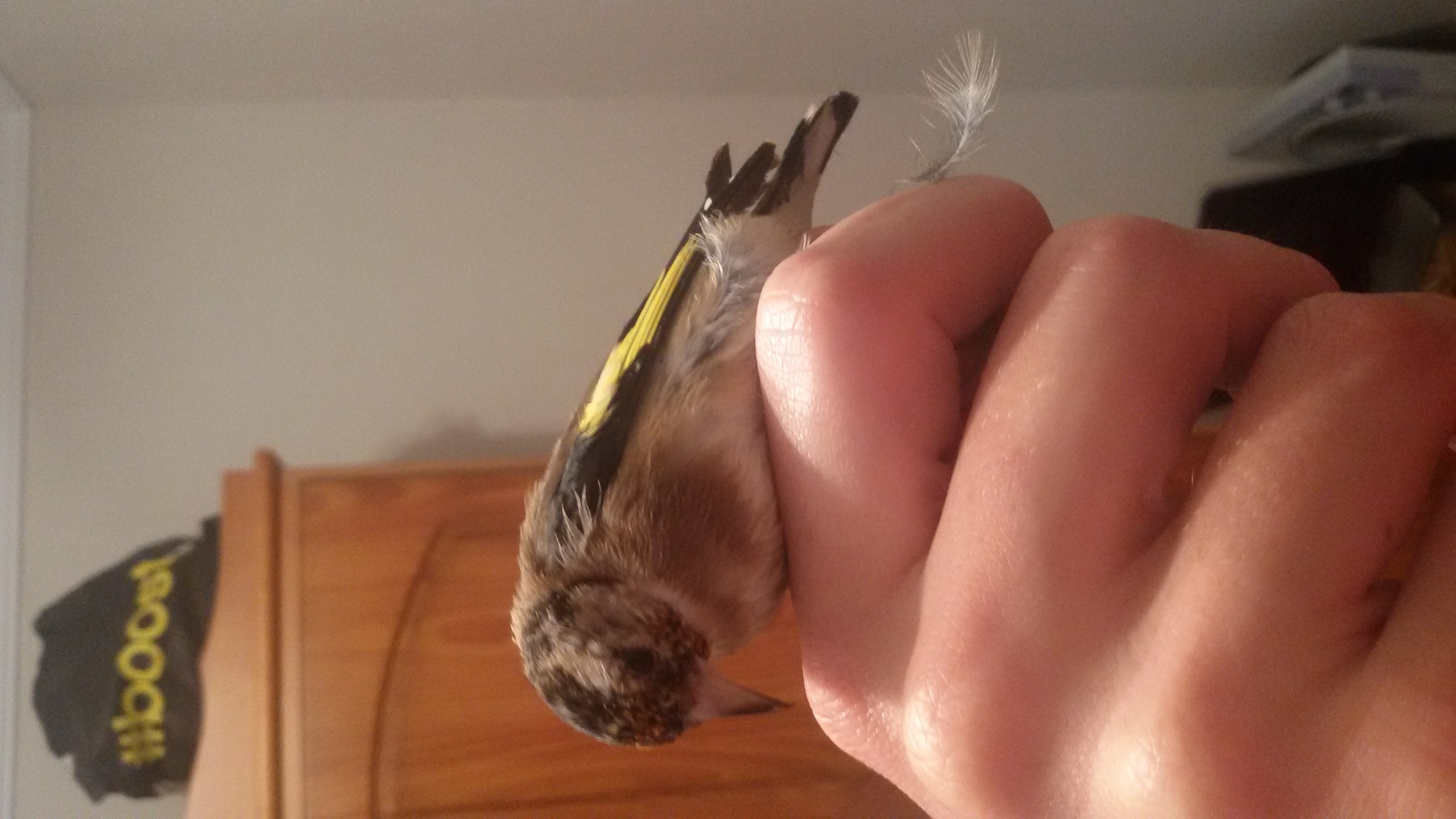 20150929_201909.jpg