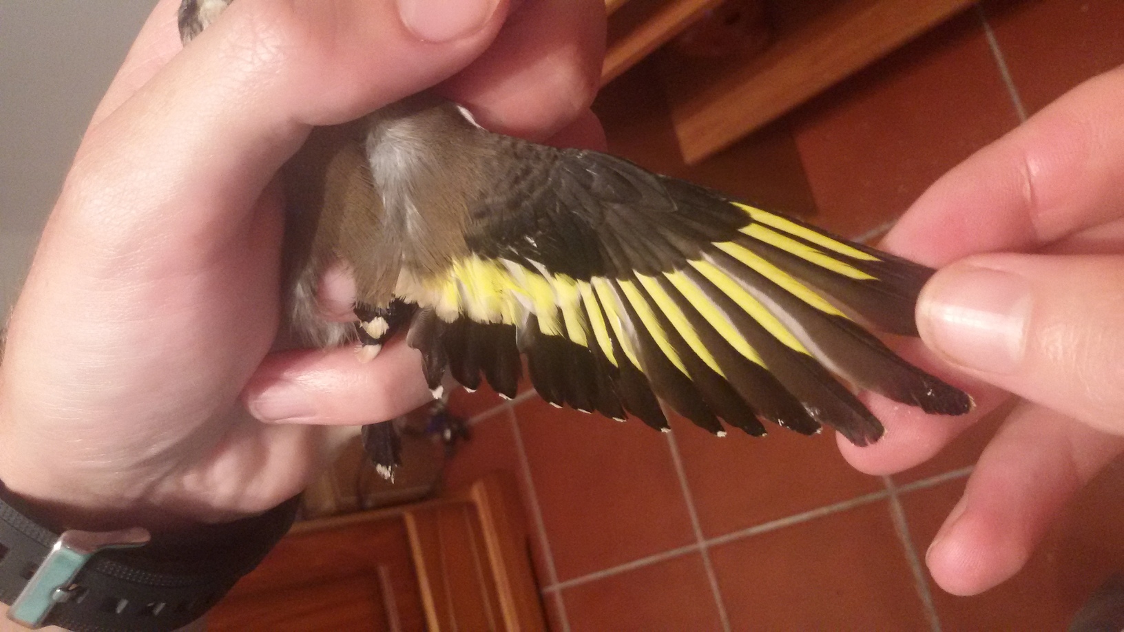 20150929_202013.jpg