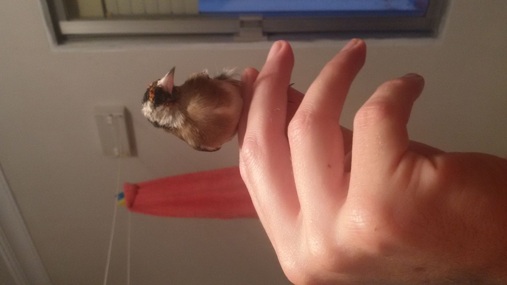 20150929_202151.jpg