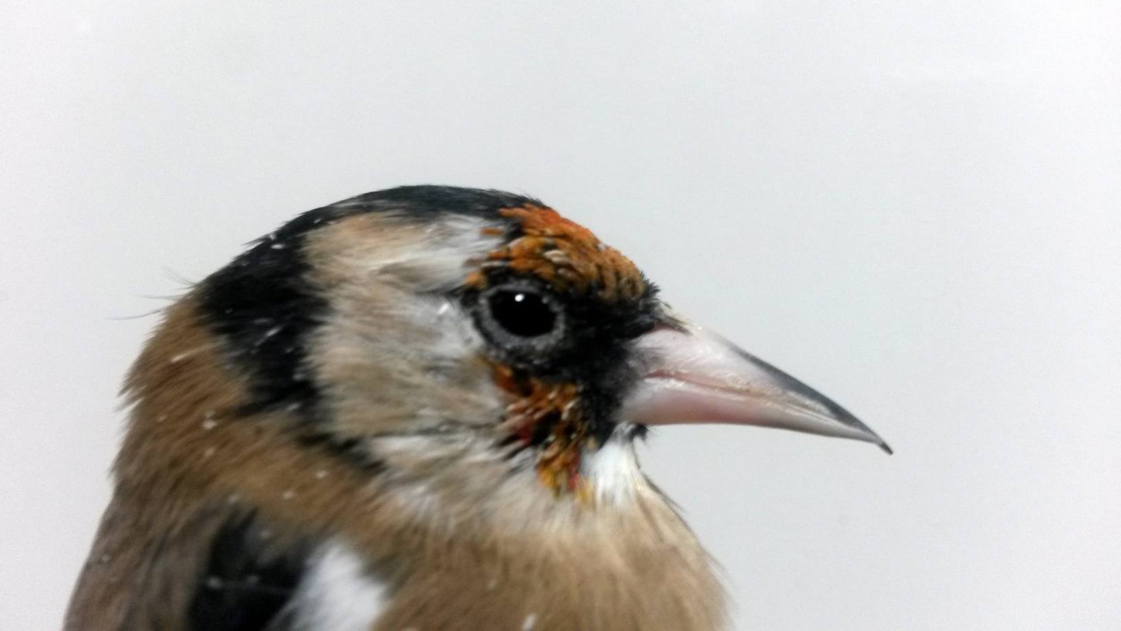 20150923_201926.jpg