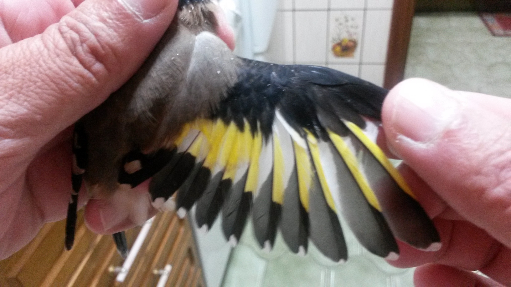 20150923_201833.jpg