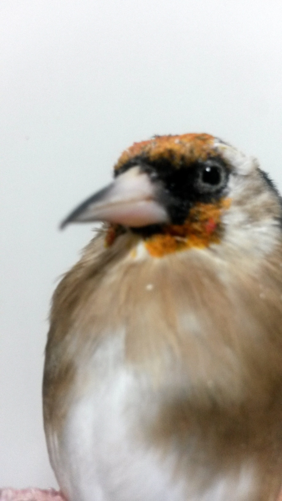 20150923_201953.jpg