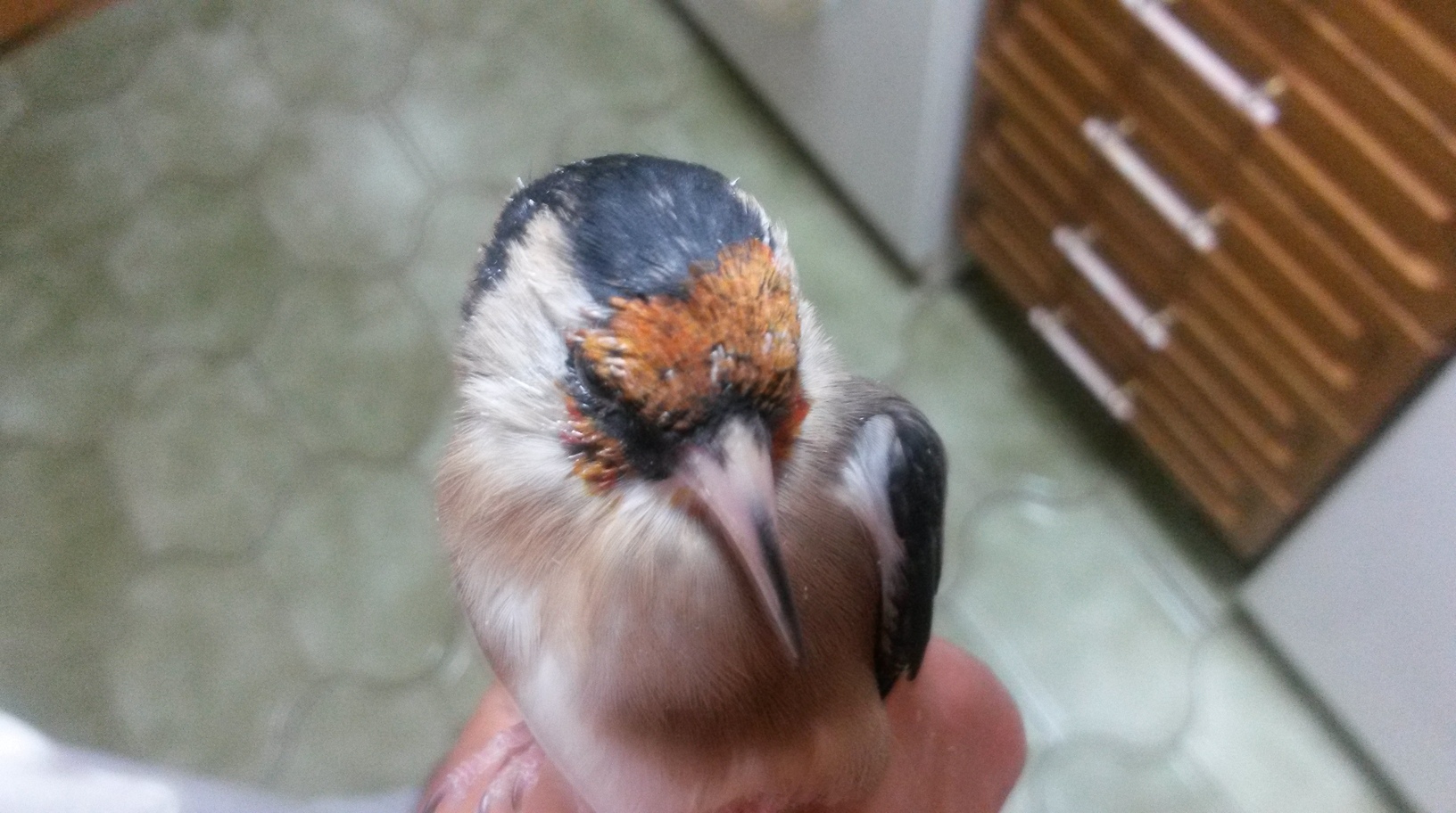20150923_202142.jpg