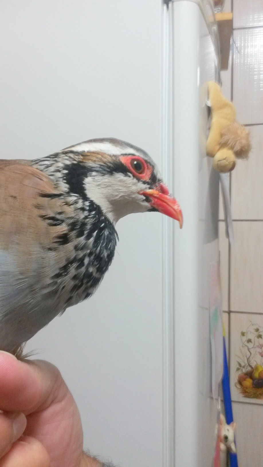 20151003_112949.jpg