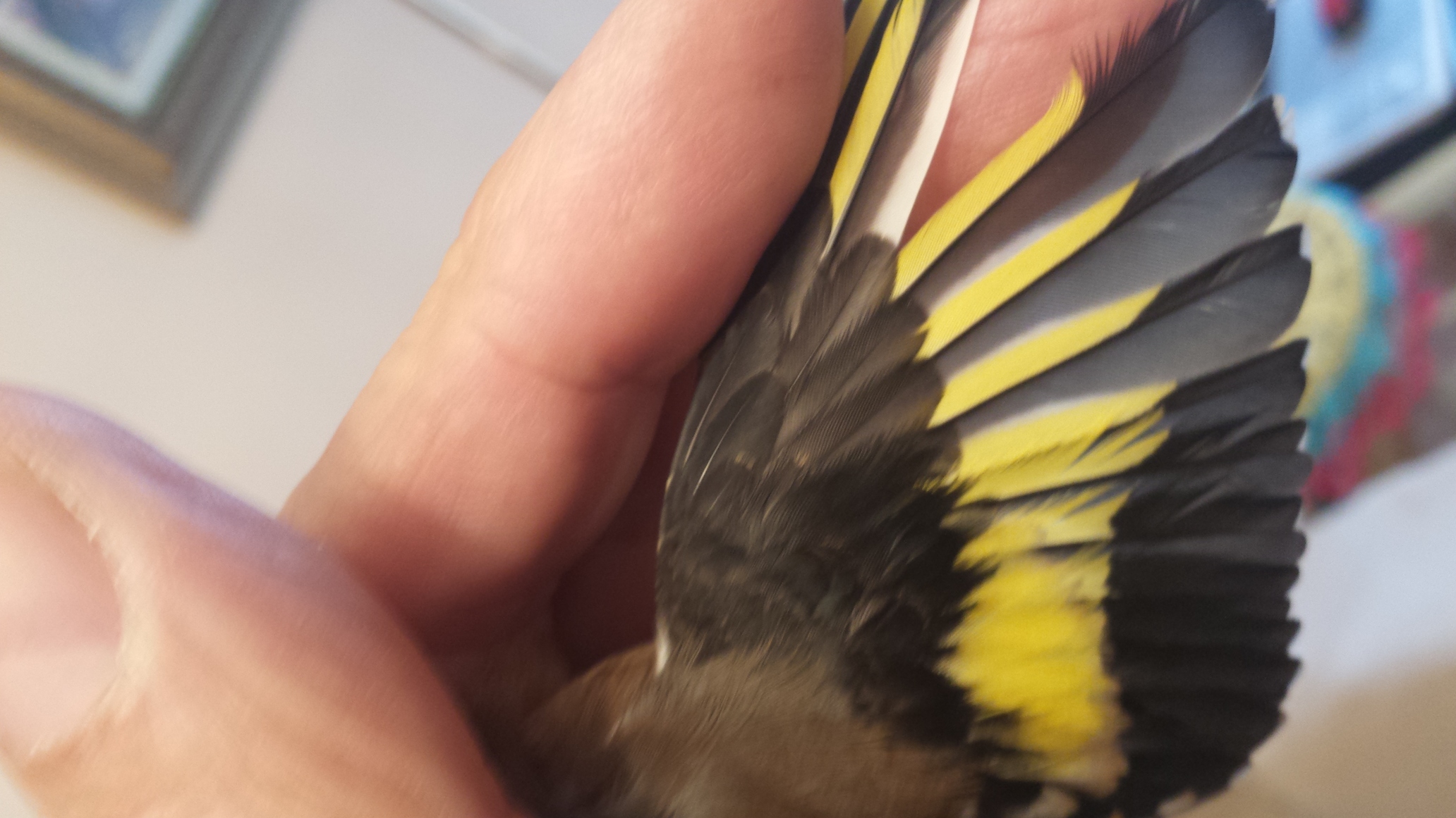 20151006_183157.jpg