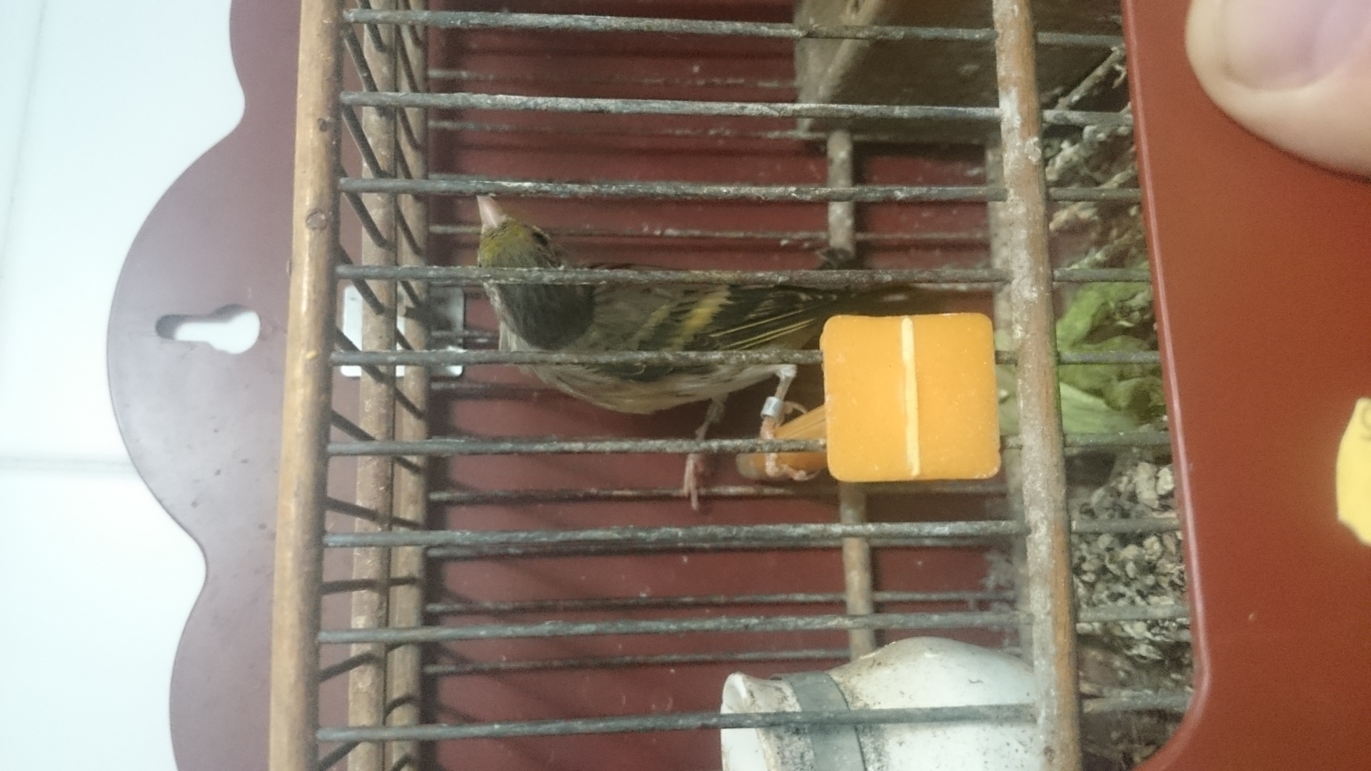 DSC_1306.JPG
