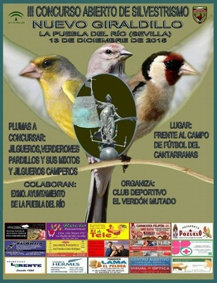 Concurso Giraldillo.jpg