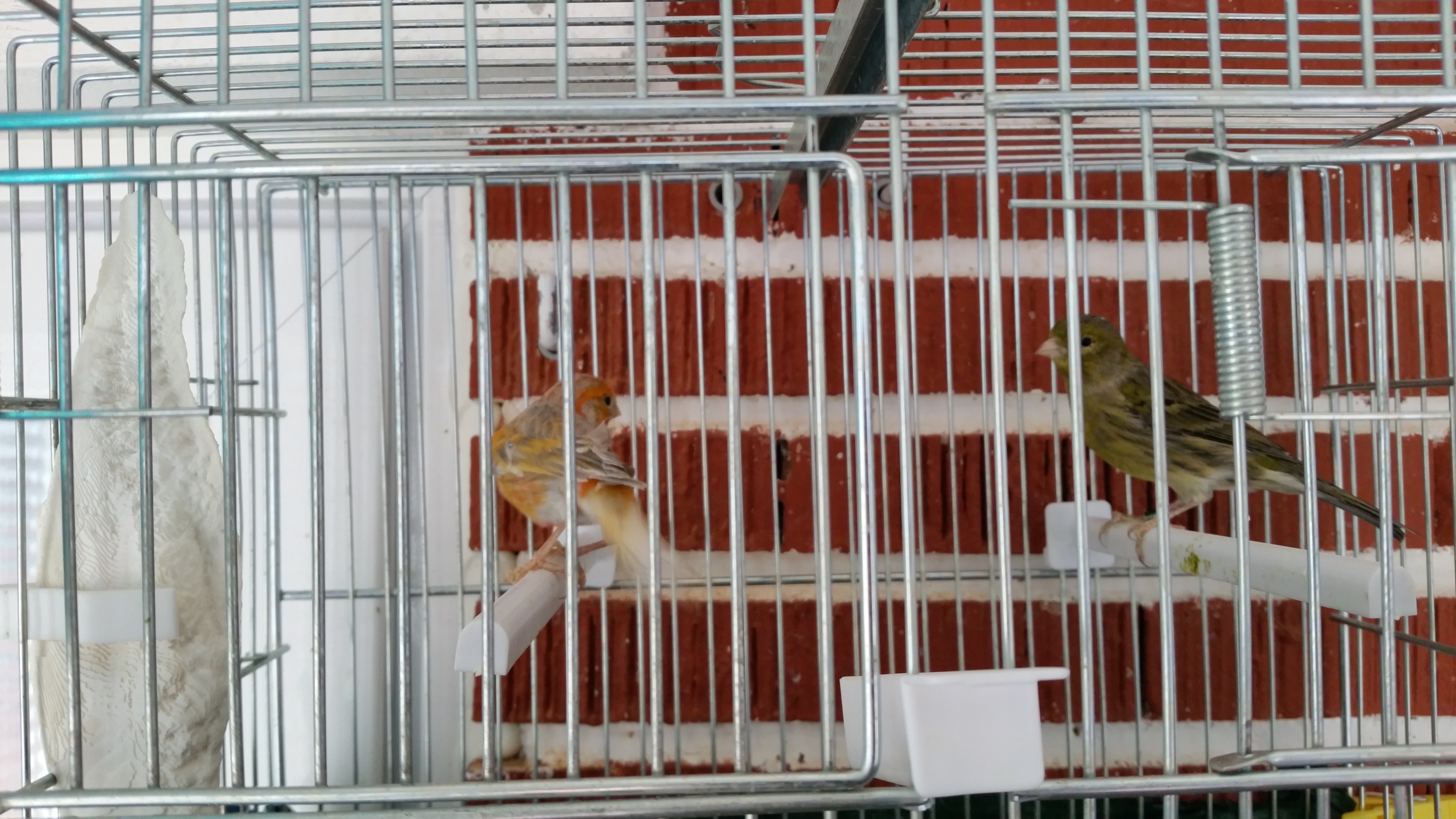 20151010_164620.jpg