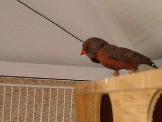 P260511_15.100001.JPG