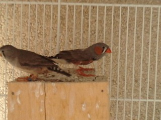 P260511_15.110002.JPG