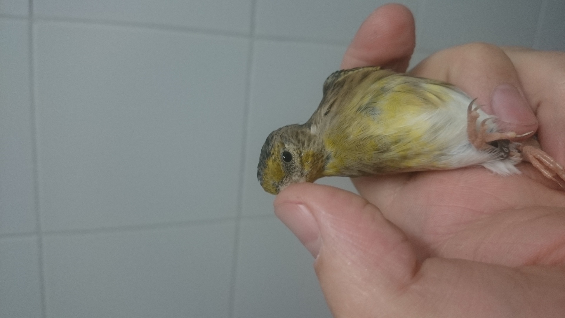 DSC_1314.JPG