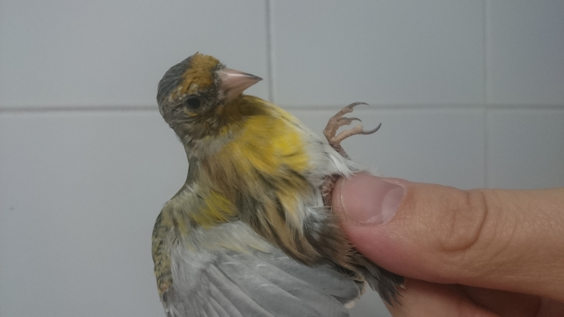 DSC_1327.JPG