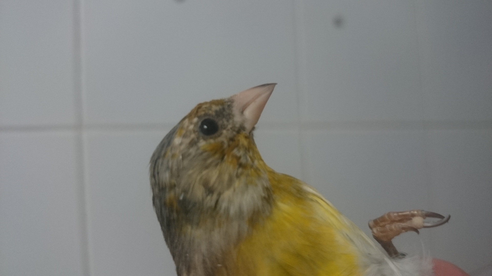 DSC_1328.JPG
