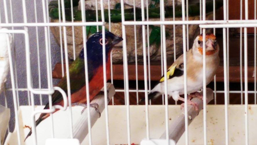 12171699_1081145608572985_449510963_o (1).jpg