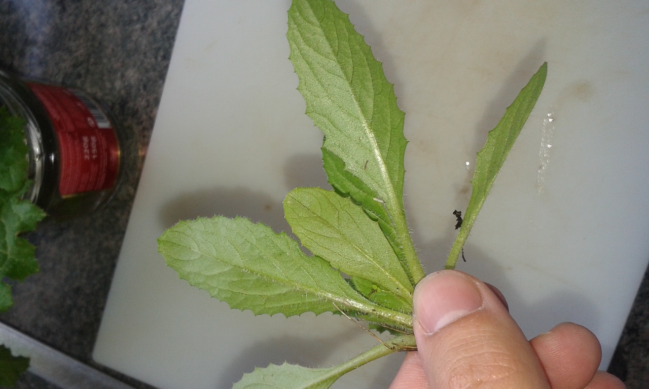 20151025_135245.jpg