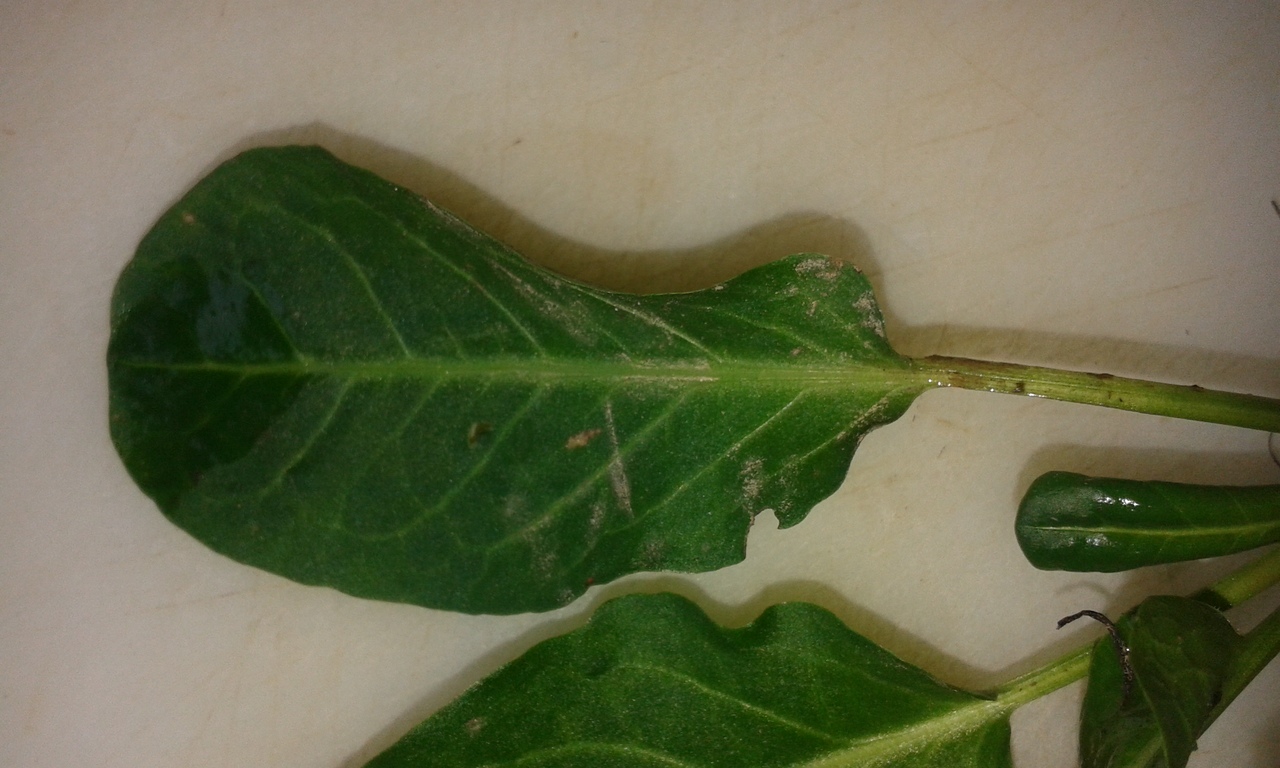 20151025_135202.jpg