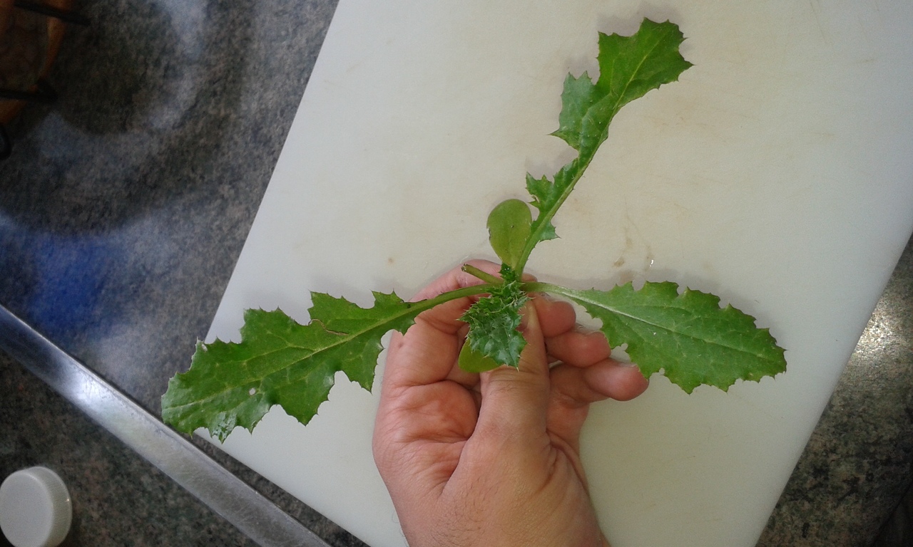 20151025_135136.jpg