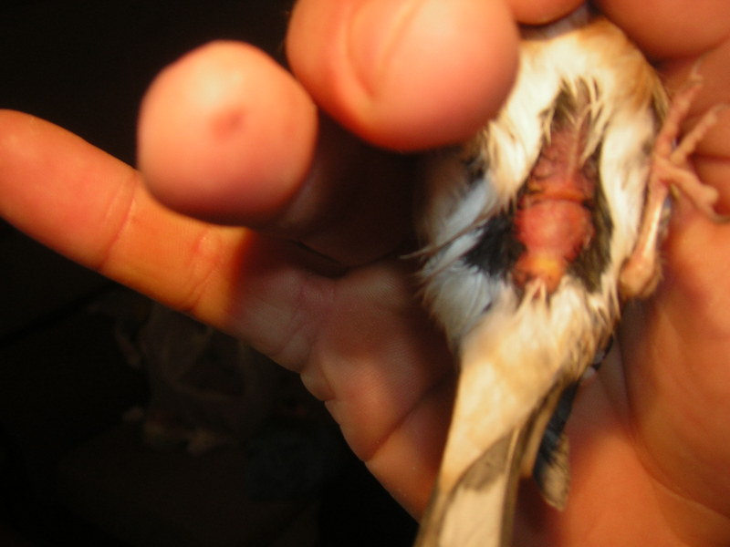 DSCN3001.JPG