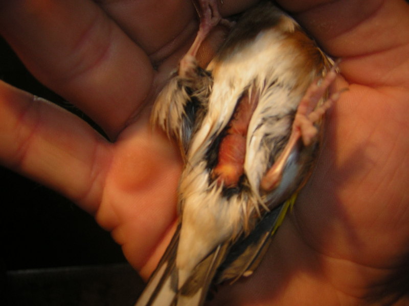 DSCN3007.JPG
