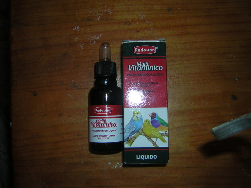 DSCN3010.JPG