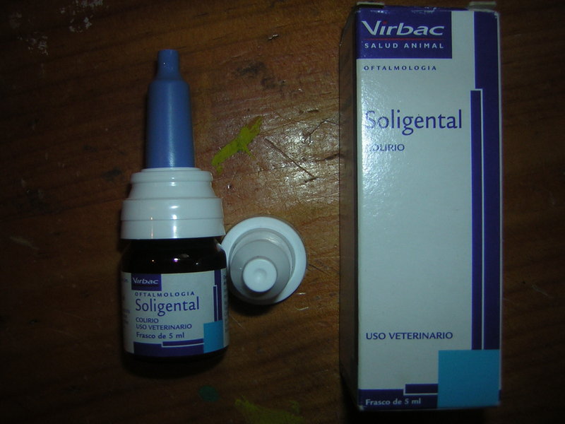 DSCN3003.JPG