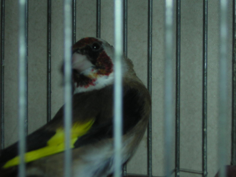 DSCN2493.JPG