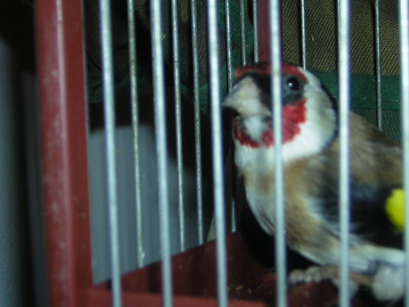 DSCN2524.JPG