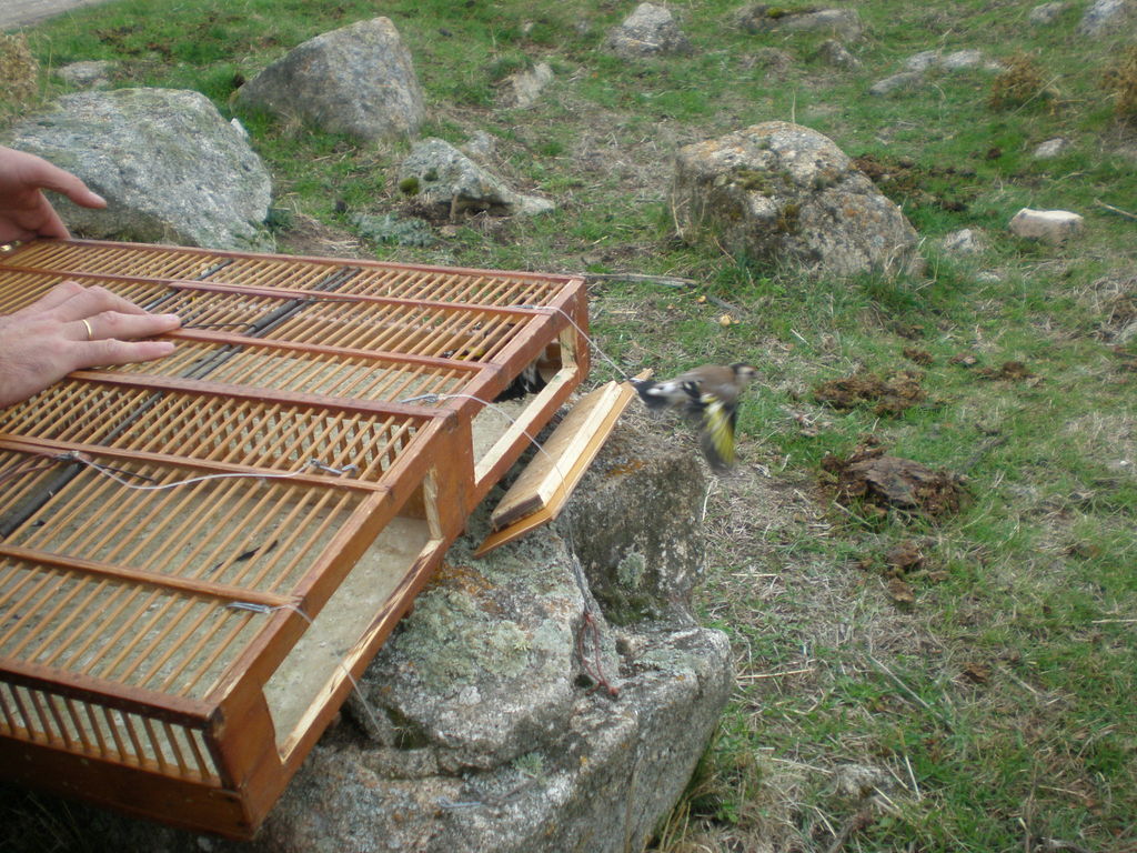 PB010301.JPG