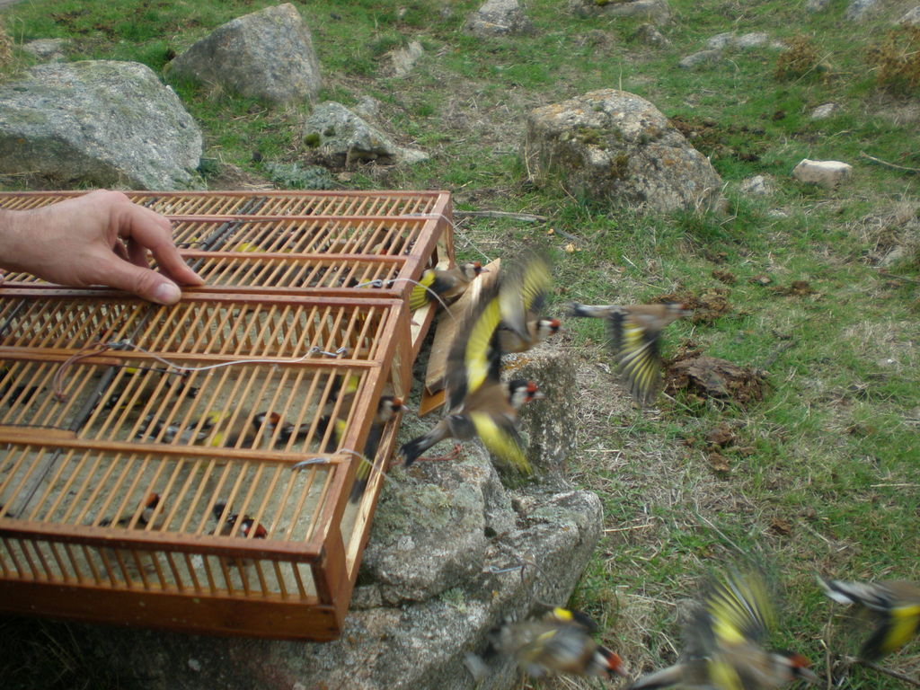 PB010298.JPG