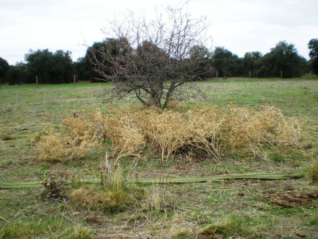 PB010296.JPG