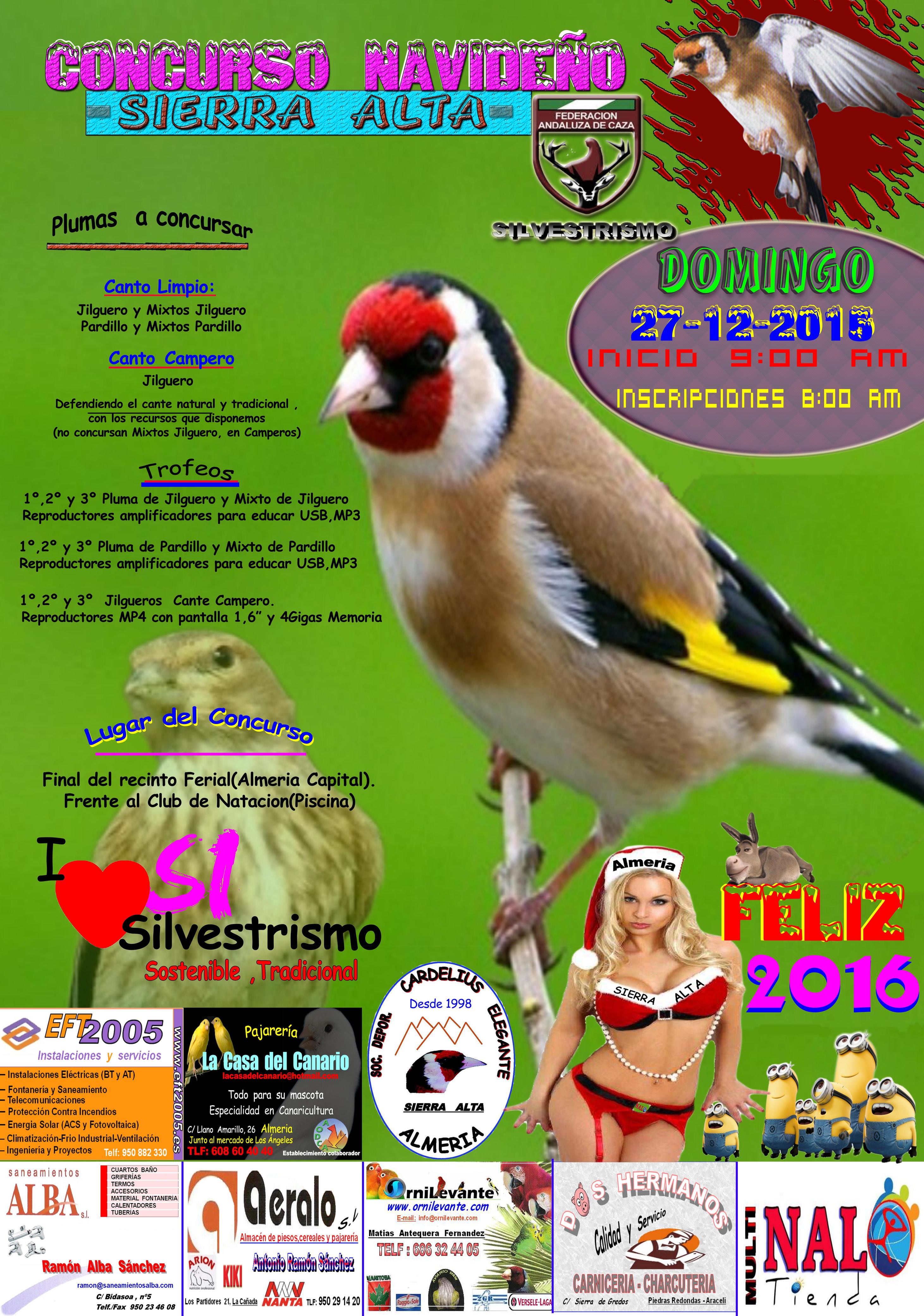 cartel concurso navideño 2015 prueba 2 COMPRIMIDO.JPG