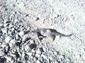 Foto0110.jpg