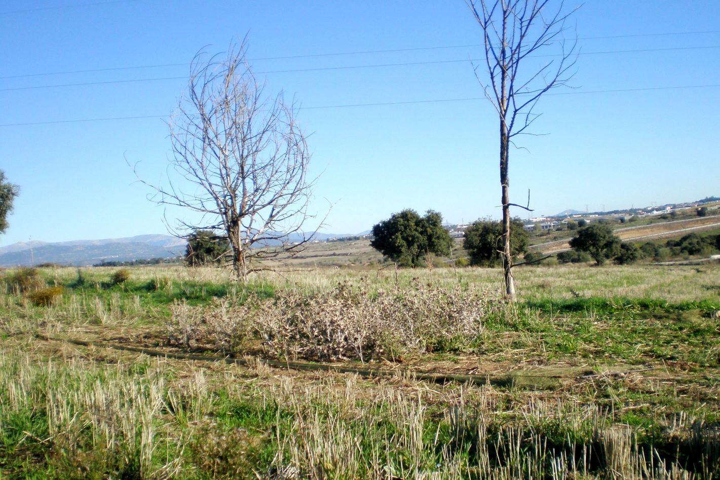 PB080009.JPG