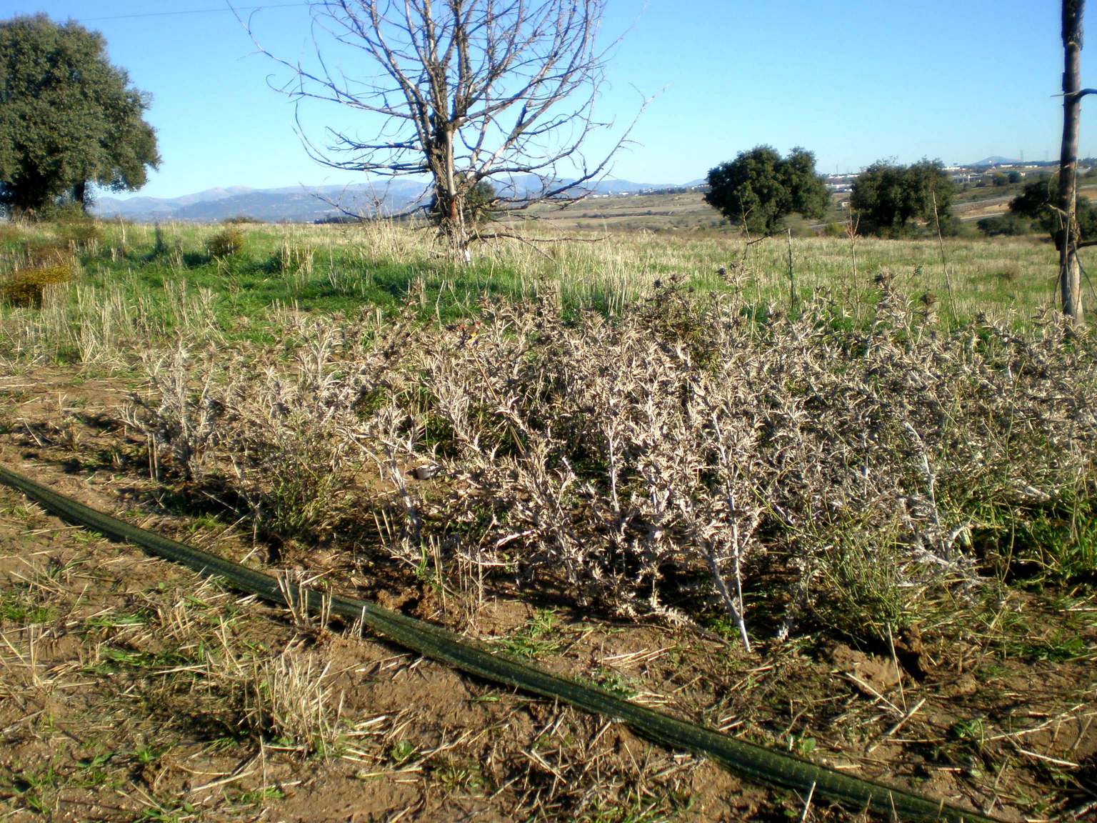 PB080010.JPG