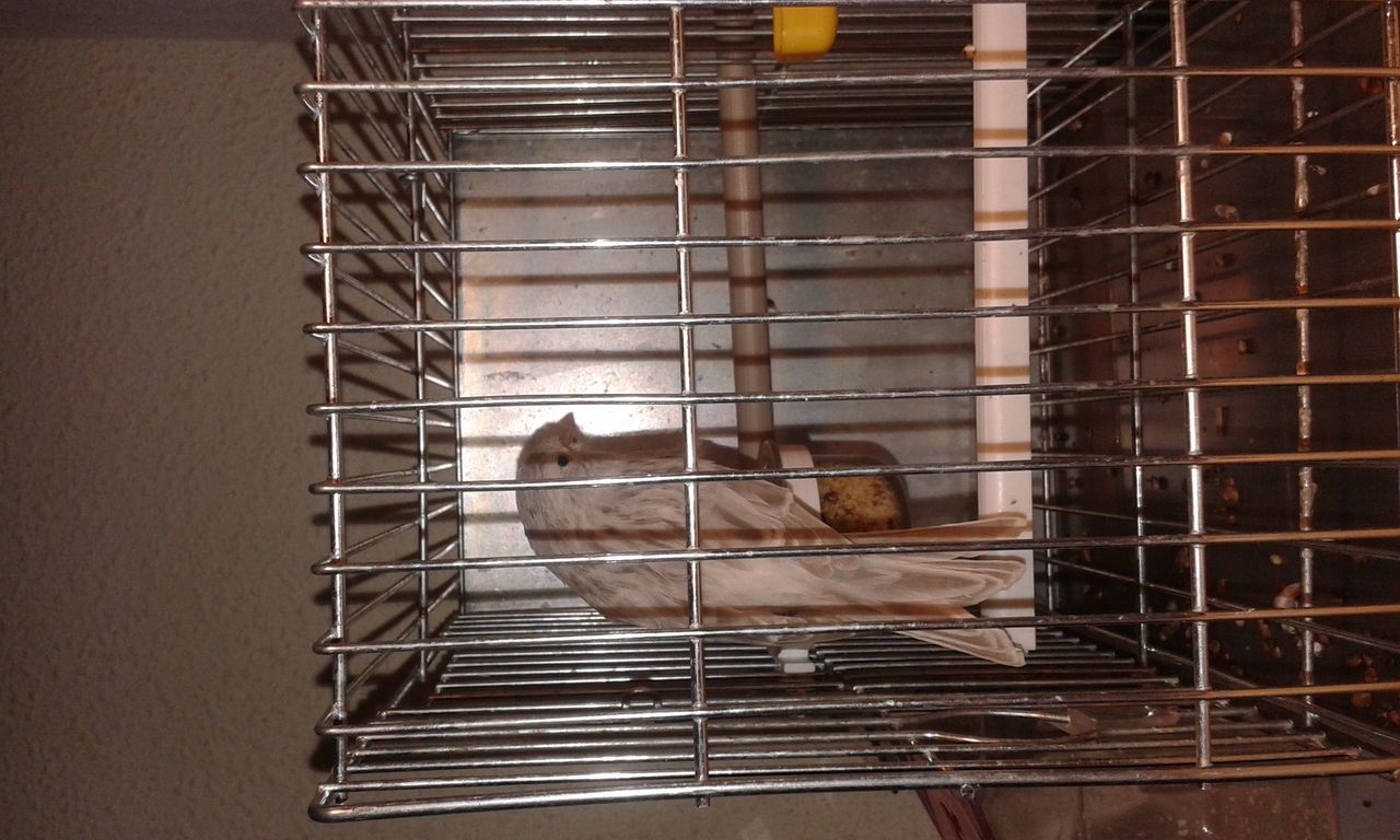 IMG-20151111-WA0010 (1).jpeg