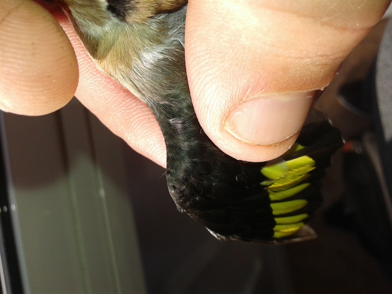 20151114_162406.jpg