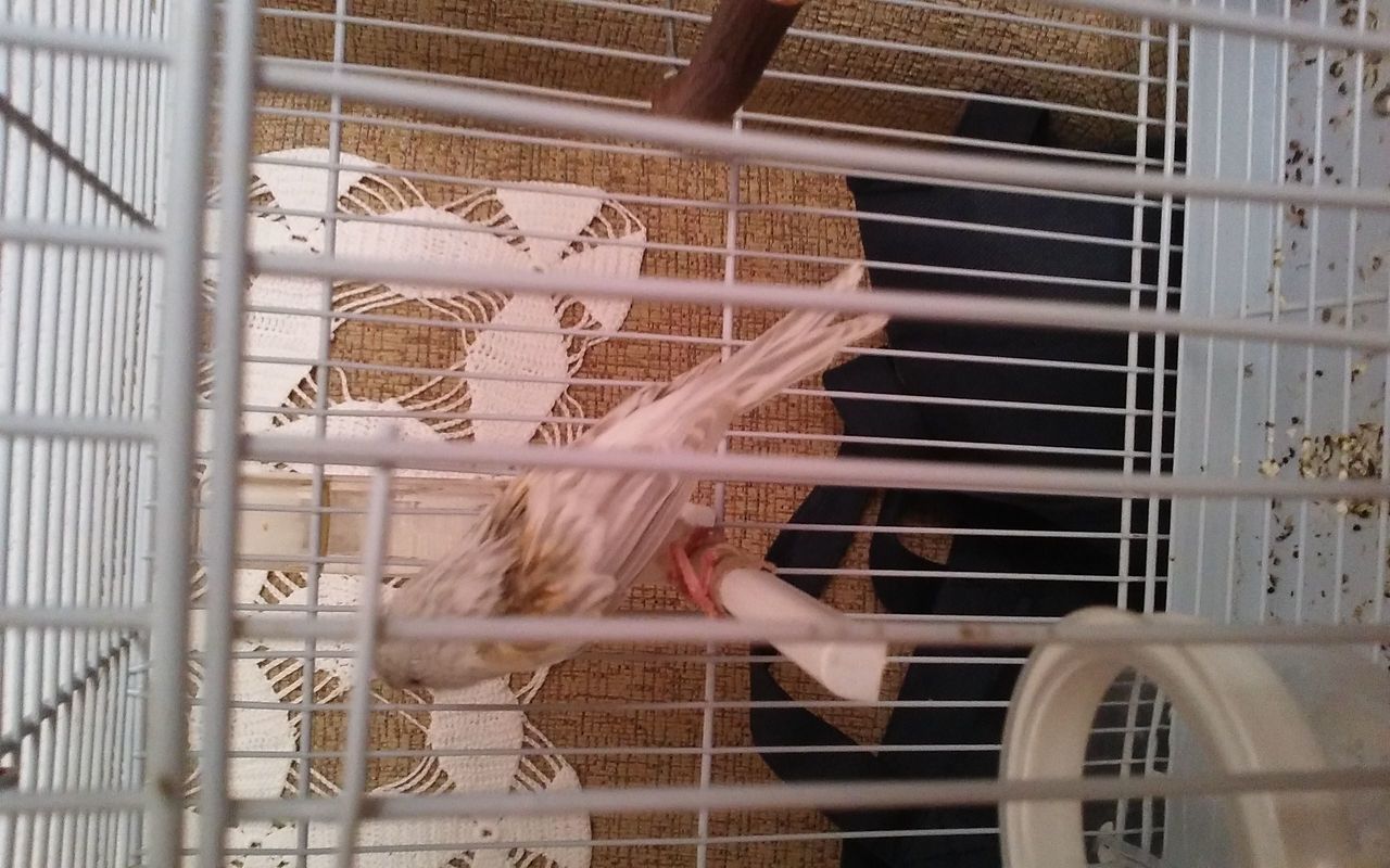 IMG-20151125-WA0049.jpeg