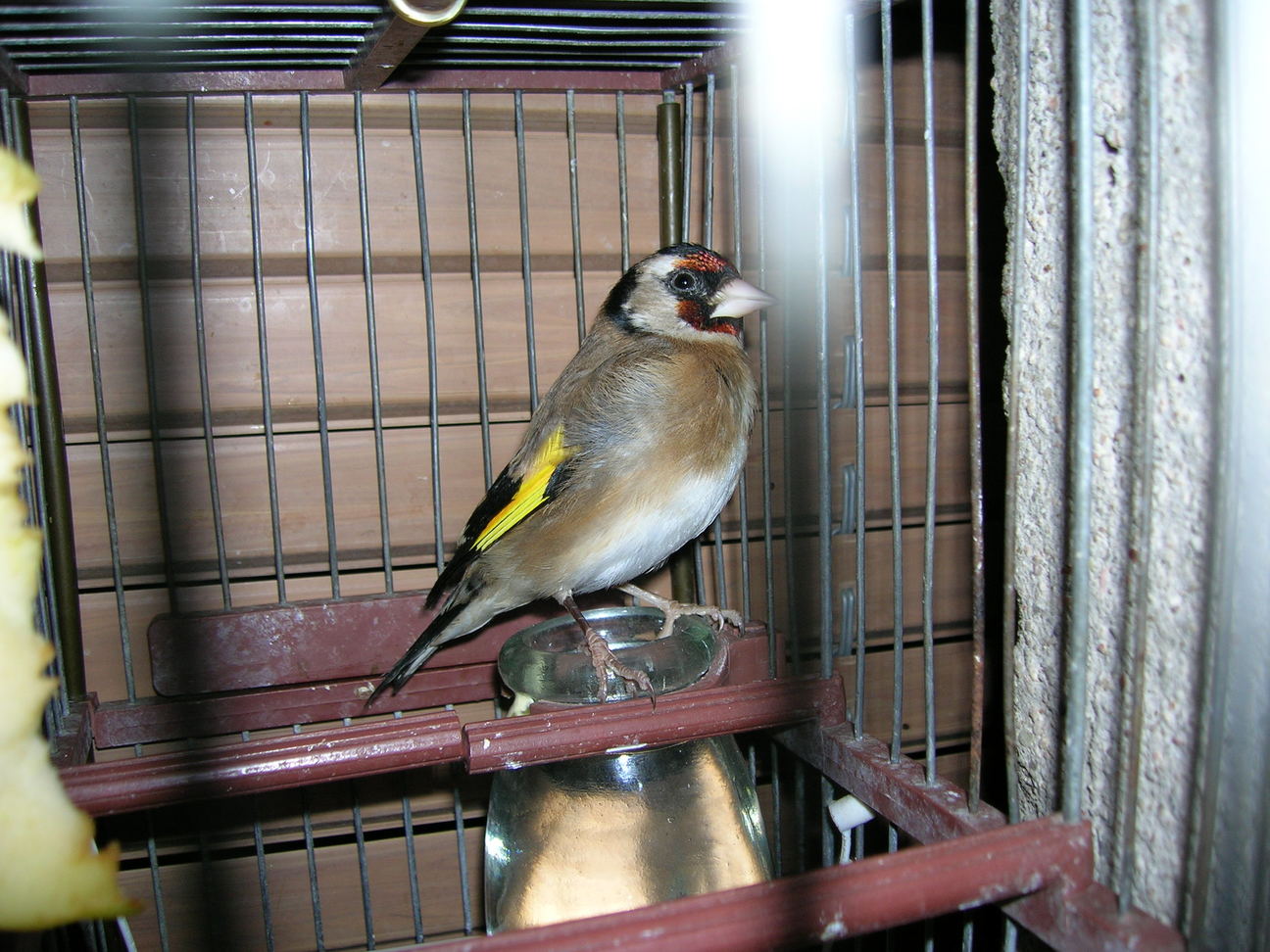 DSCN2007.JPG